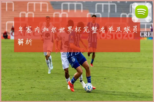 年塞内加尔世界杯完整名单及球员解析