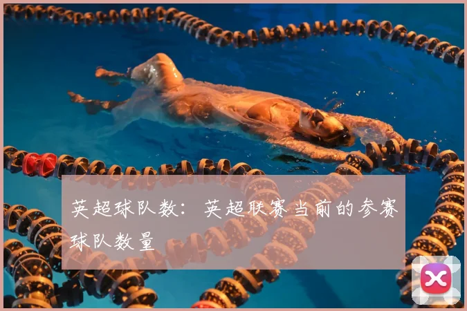 英超球队数：英超联赛当前的参赛球队数量